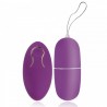 Bullet Luxo com Controle Wireless 12 Vibrações - VipMix