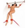 KIT BONDAGE EM PELÚCIA - PAU BRASIL