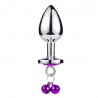 Plug Anal Metal Pingente Grande - Vibe Toys