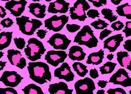 ONÇA PINK